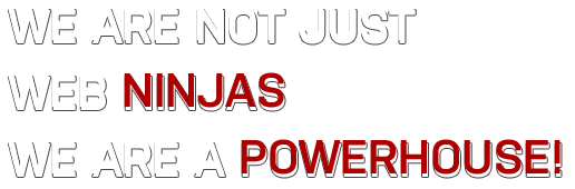 We Are Not Just Web Ninjas We Are A Powerhouse!